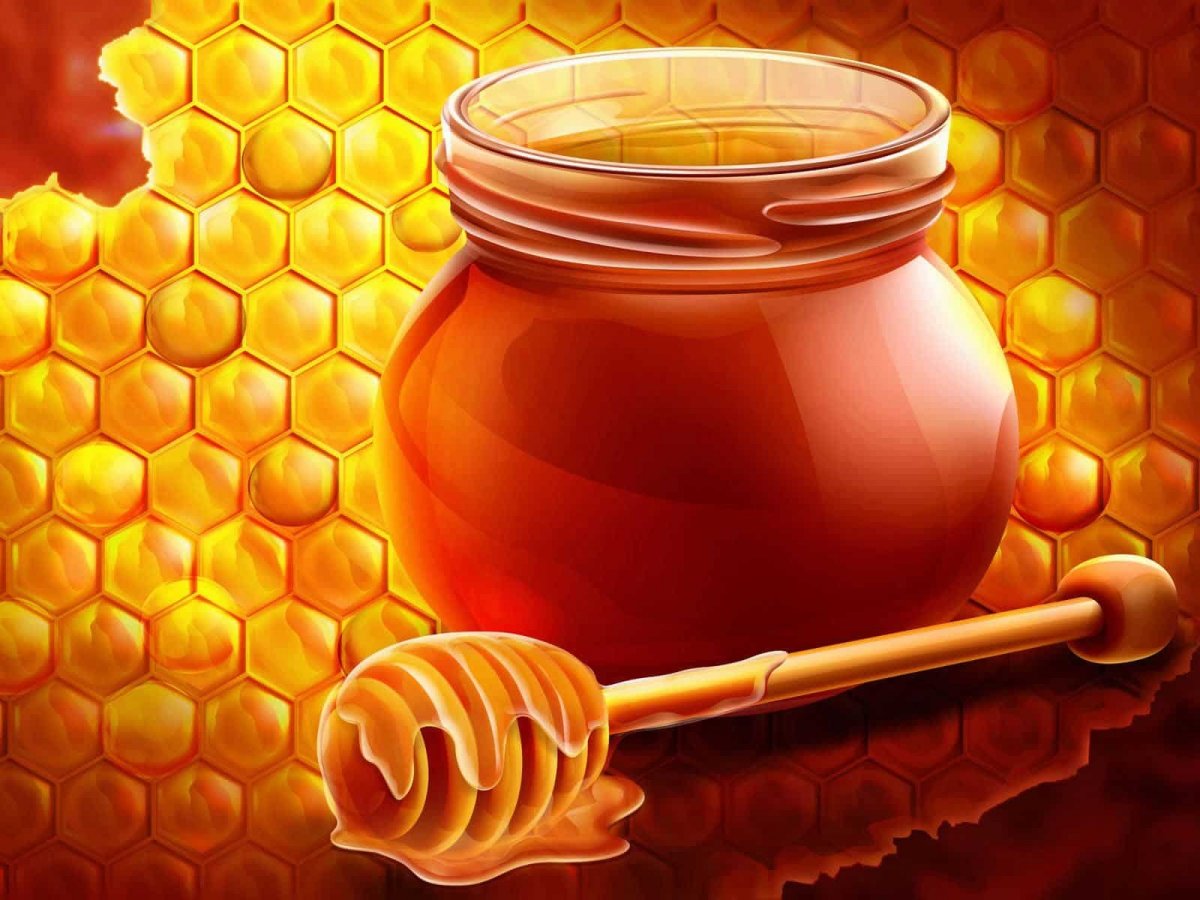 Мед мед Руси