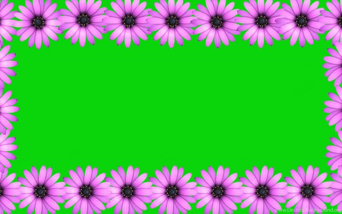 Цветочная рамка хромакей