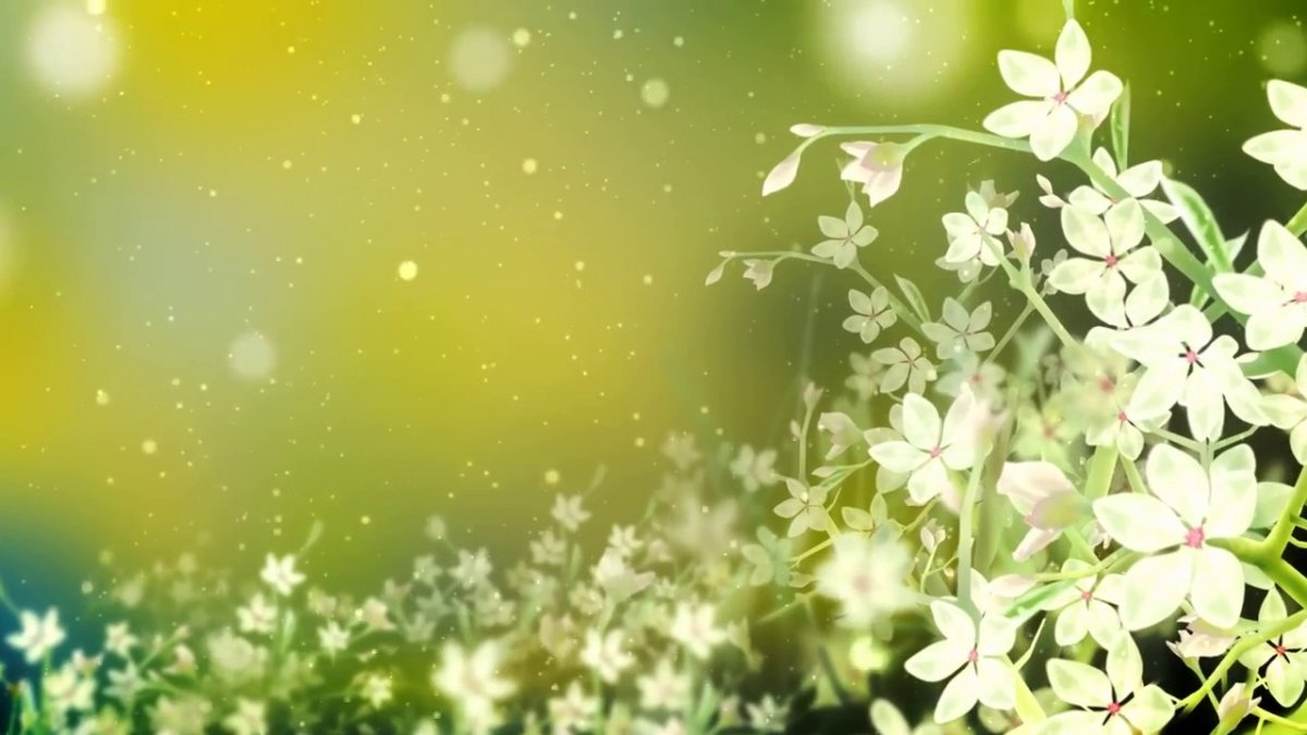 Цветы фон для открытки