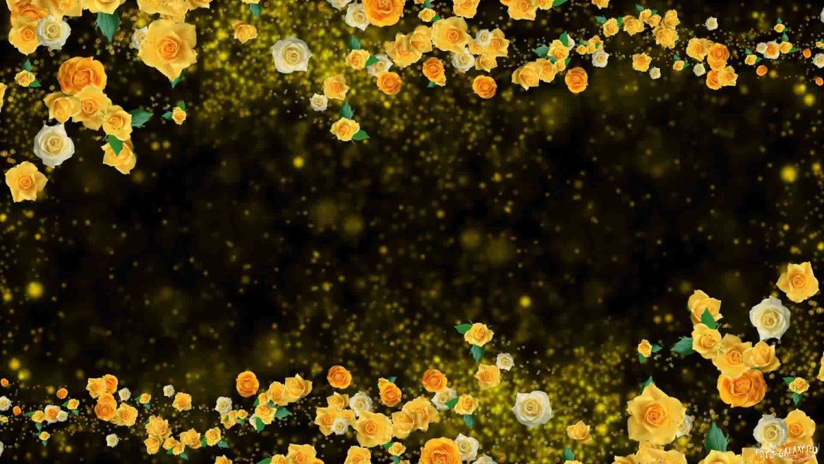 Фон для видеомонтажа цветы