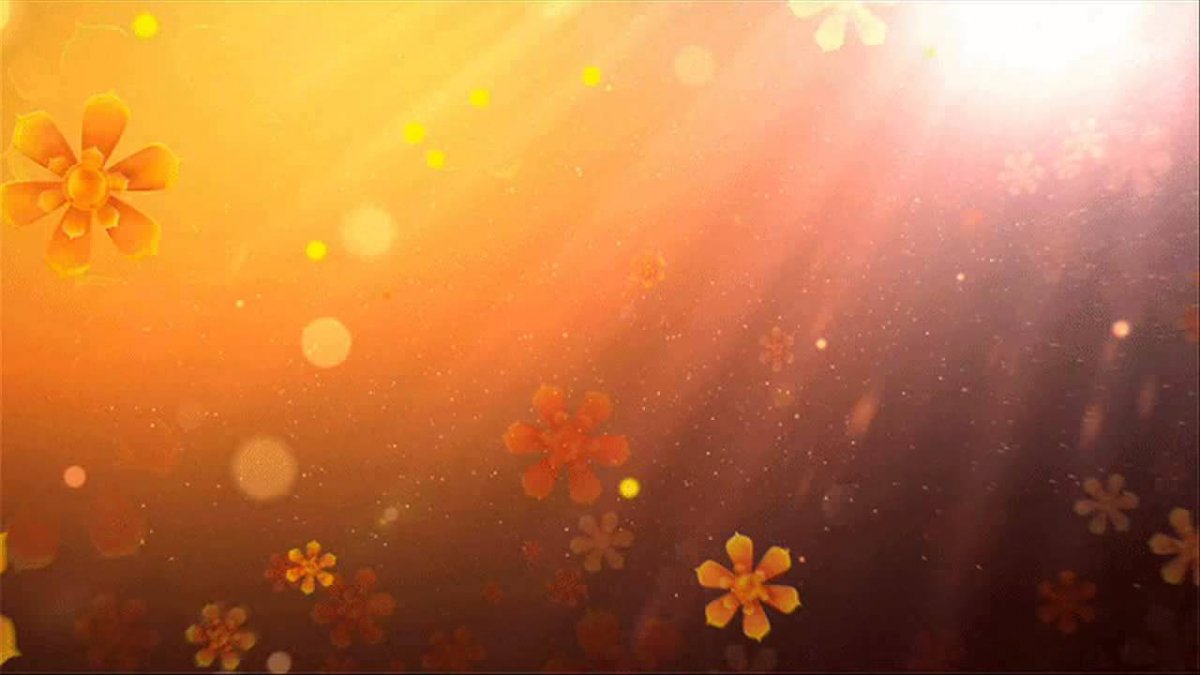 Анимированный фон