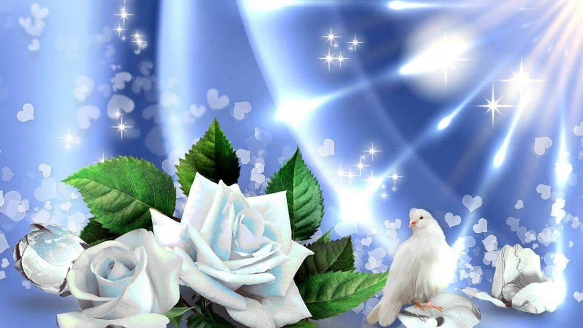 Открытка "голубь"