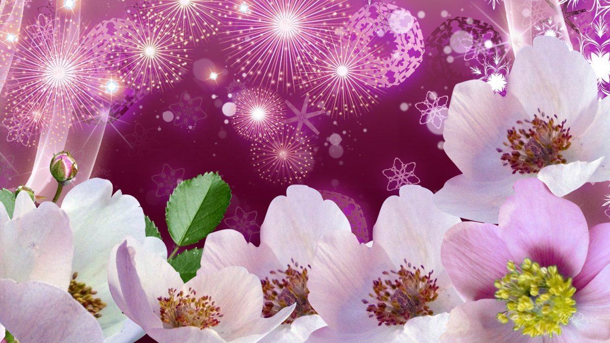 Красивый фон цветы