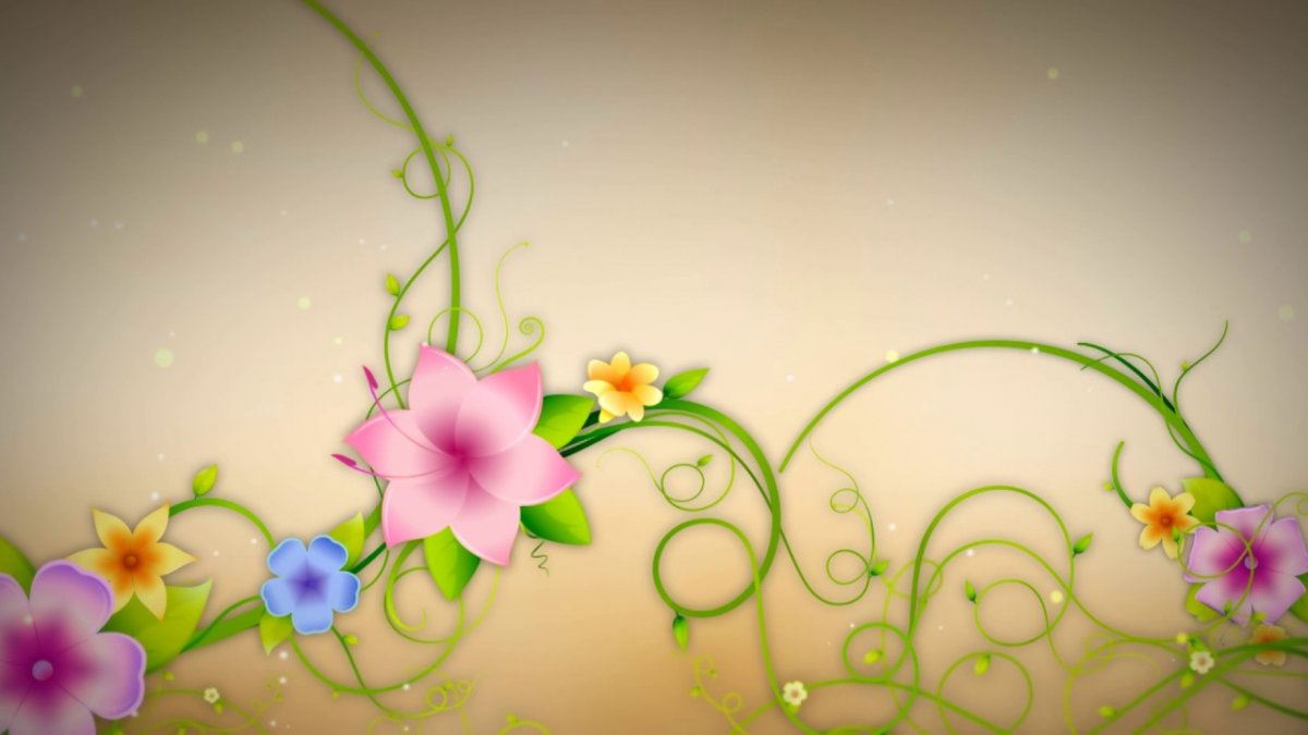 Футаж цветы