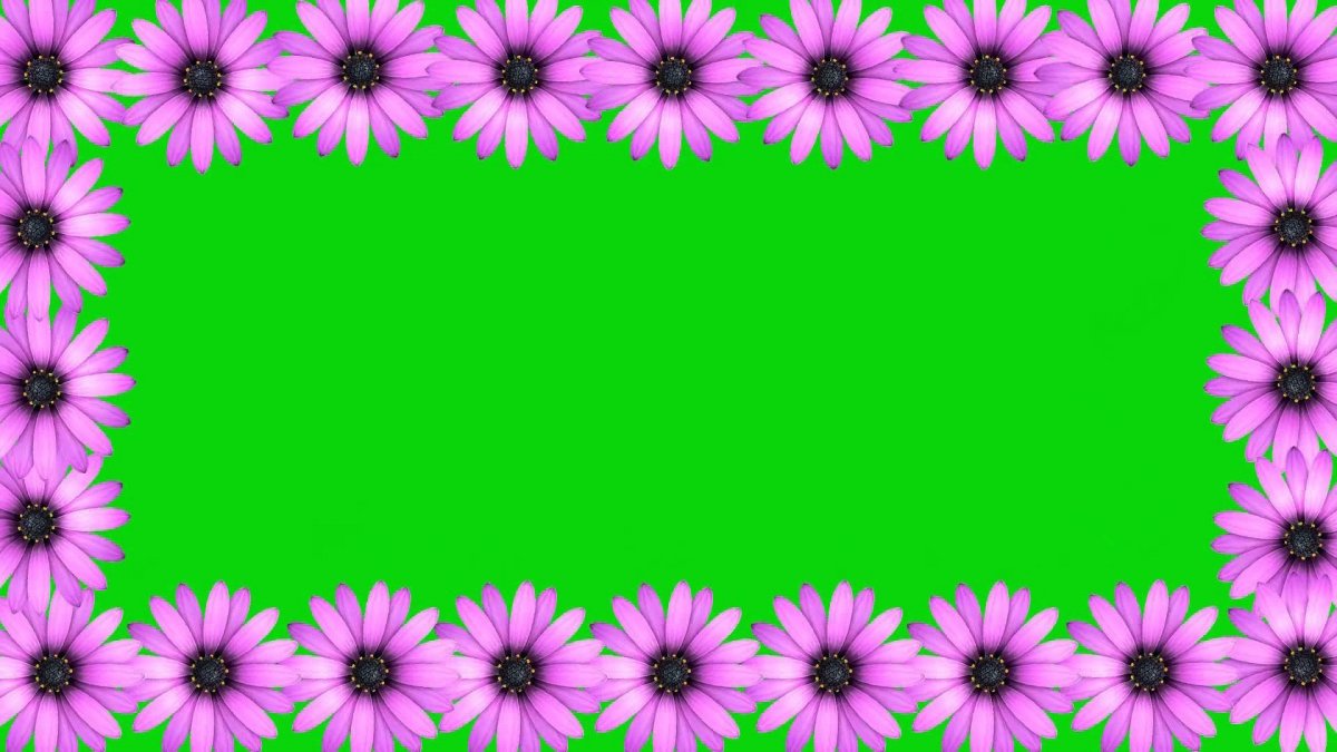 Цветочная рамка хромакей