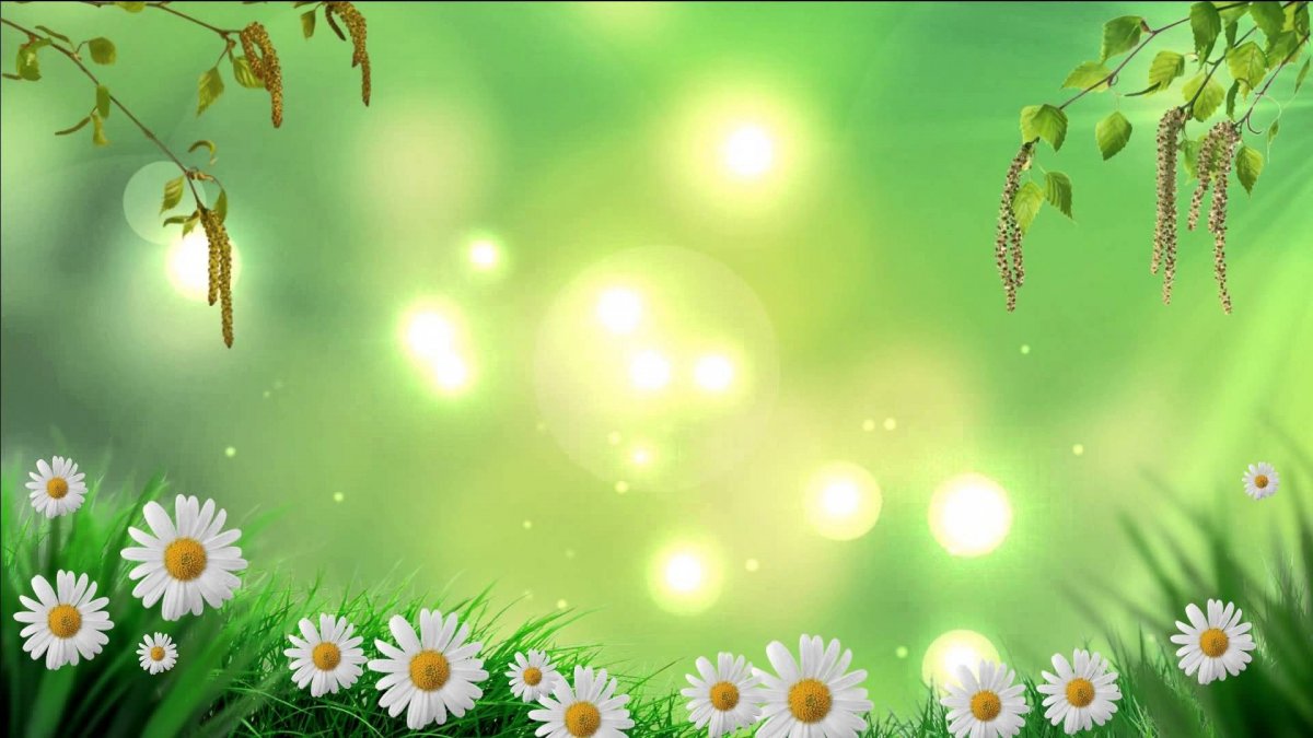 Летний фон для презентации