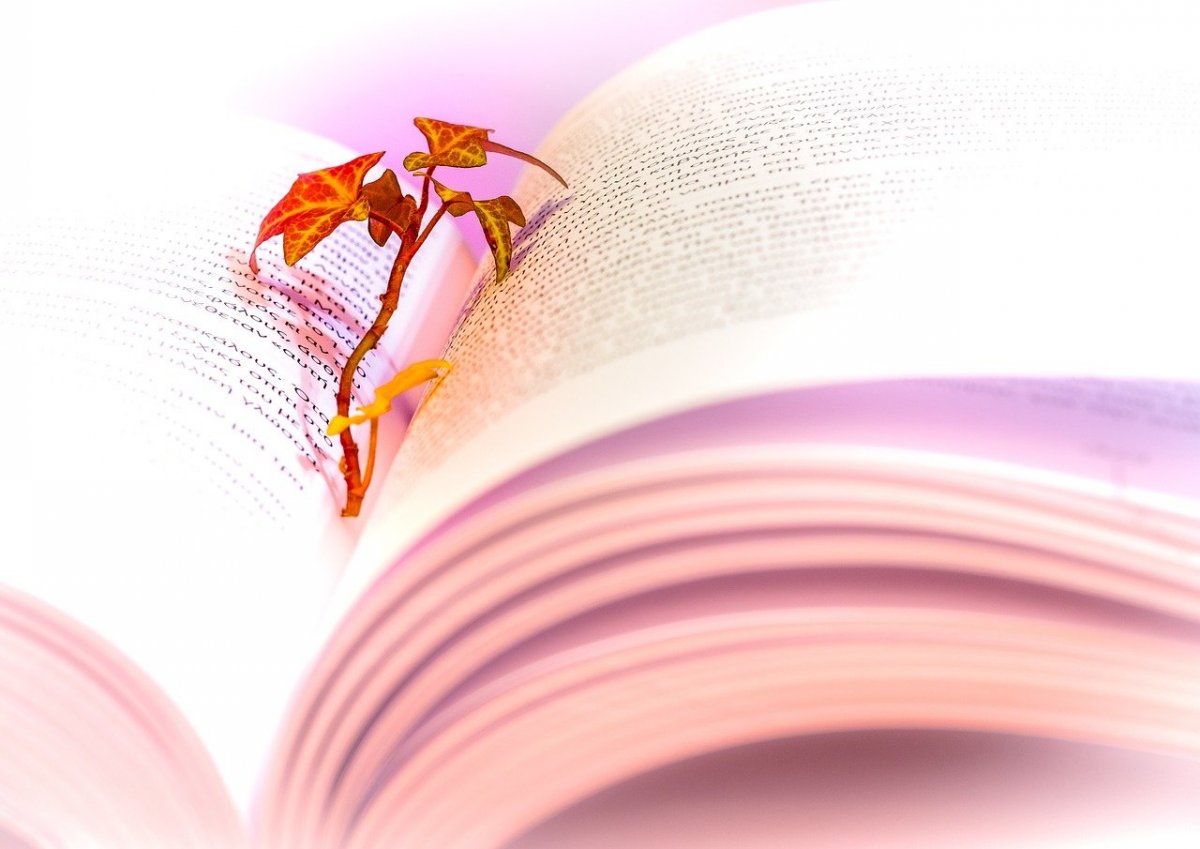 Поэзия заставка