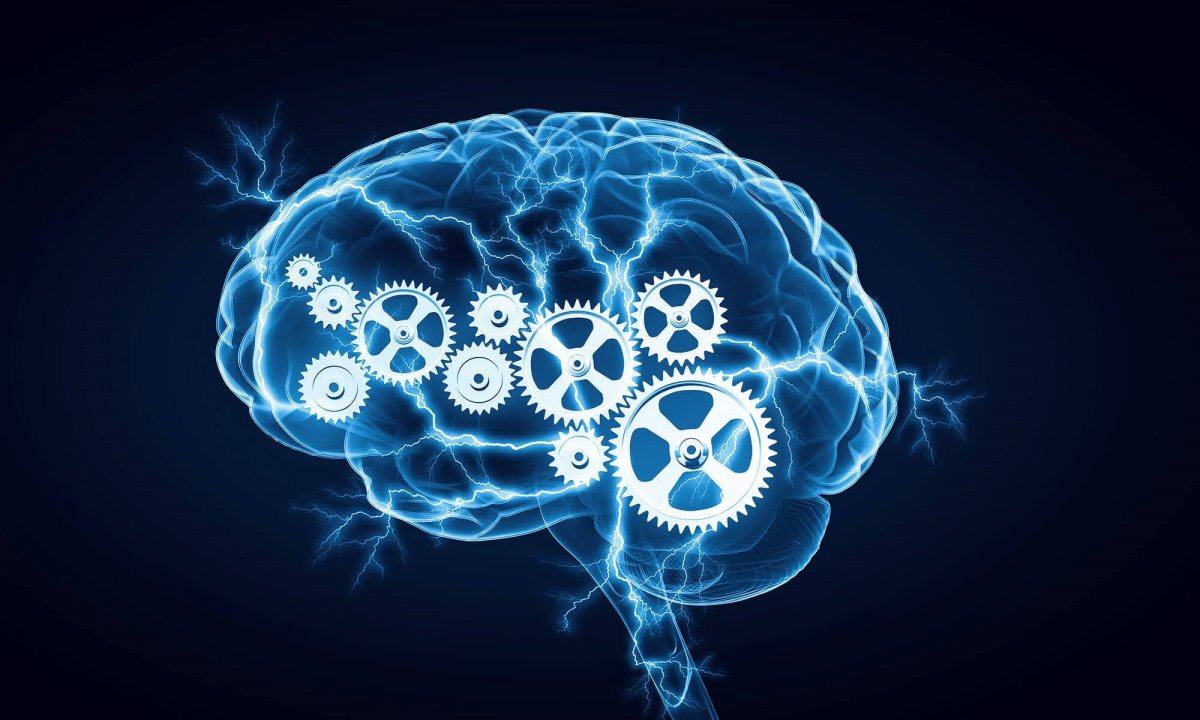 Красивый мозг