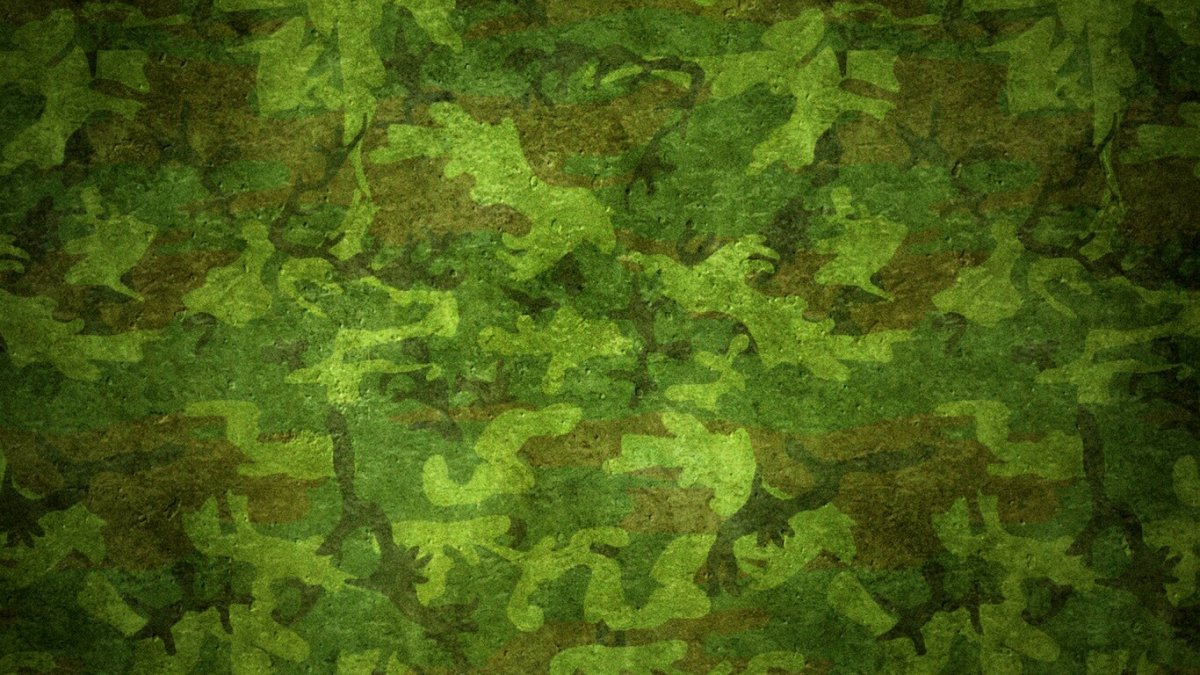 Защитный цвет