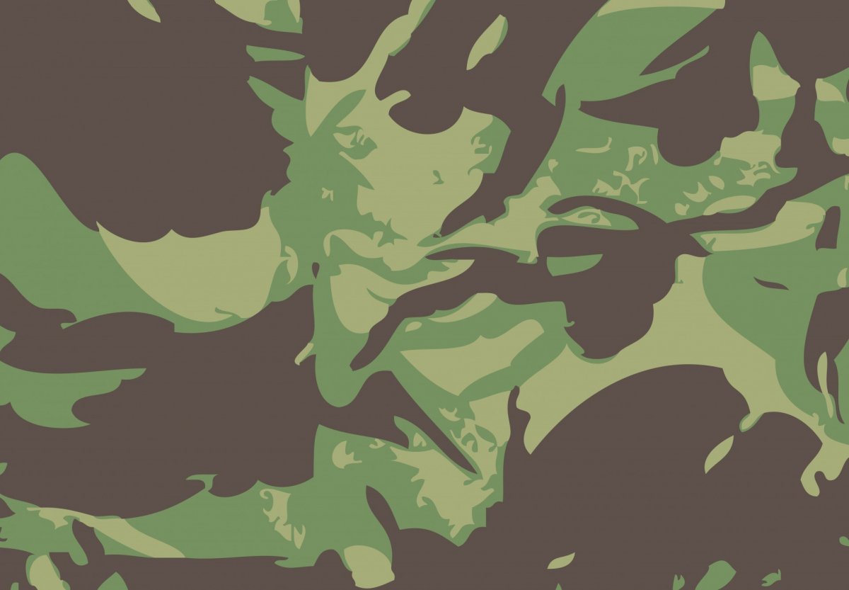 Woodland Camouflage 4r