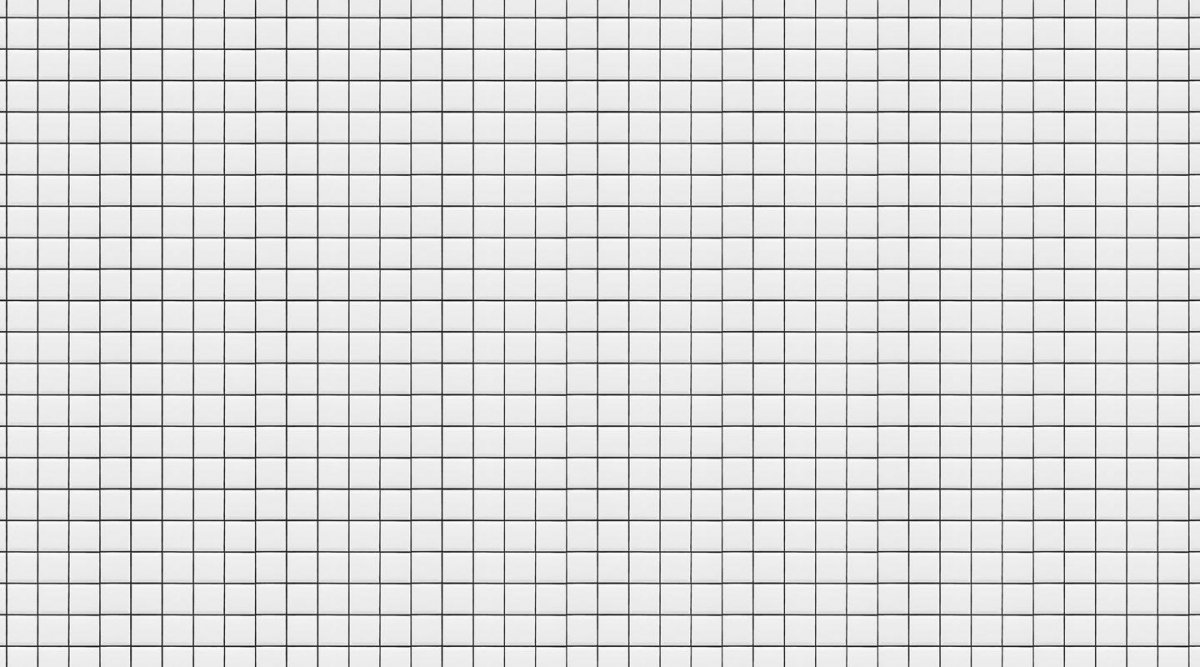 Lens Distortion Grid