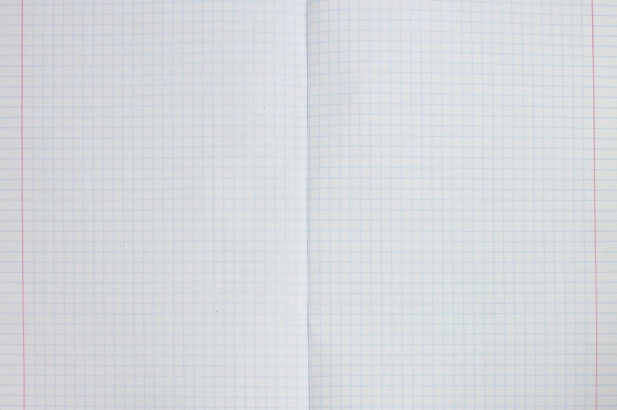 Двойной лист в клетку