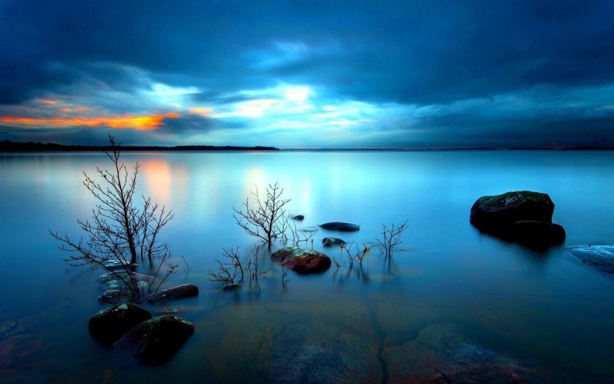 Ночной пейзаж с водой