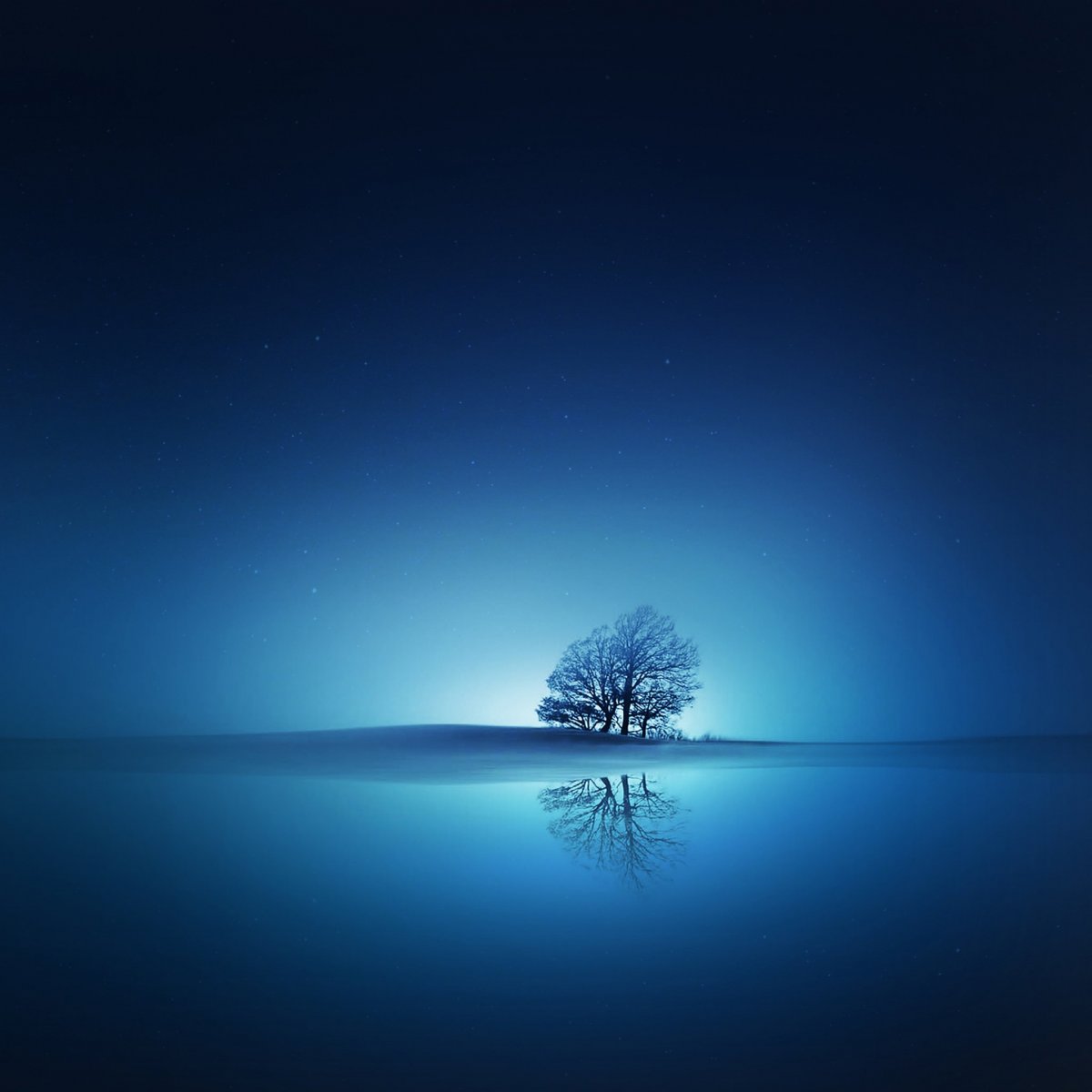 Красивые обои для планшетов 8 дюймов