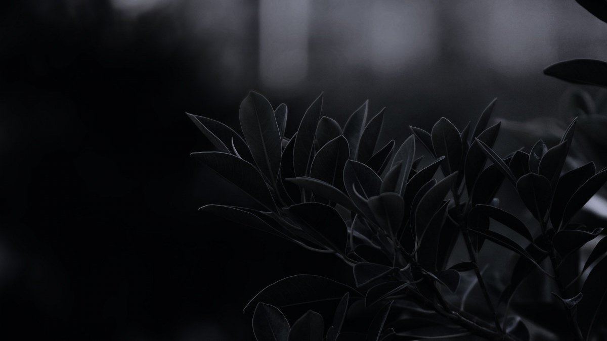 Оюои на рабочий стол тёмные