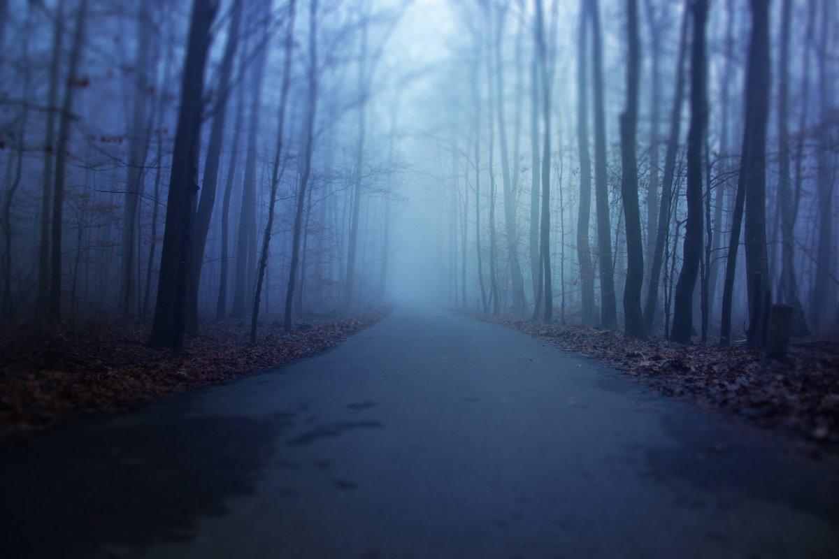 Страшный лес