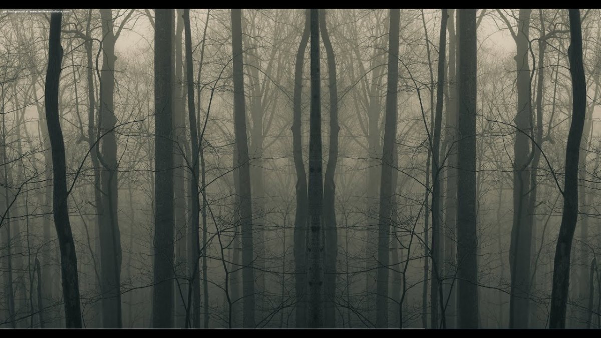 Страшный лес панорама