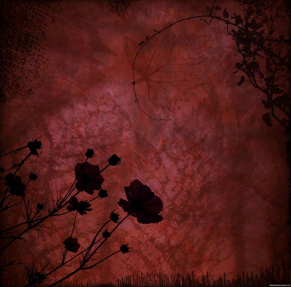 Лес для хоррора