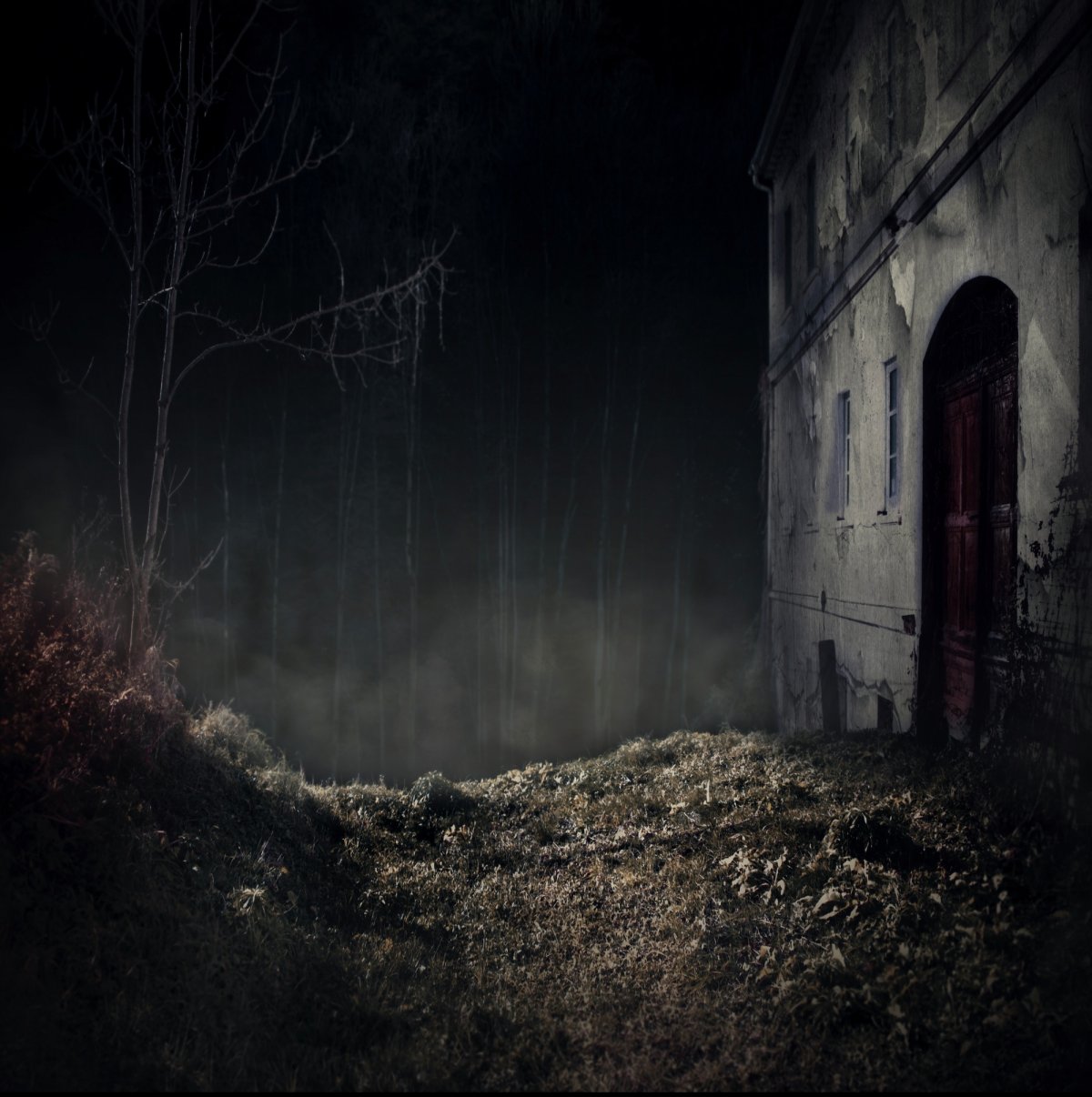 Красивый фон с черепами