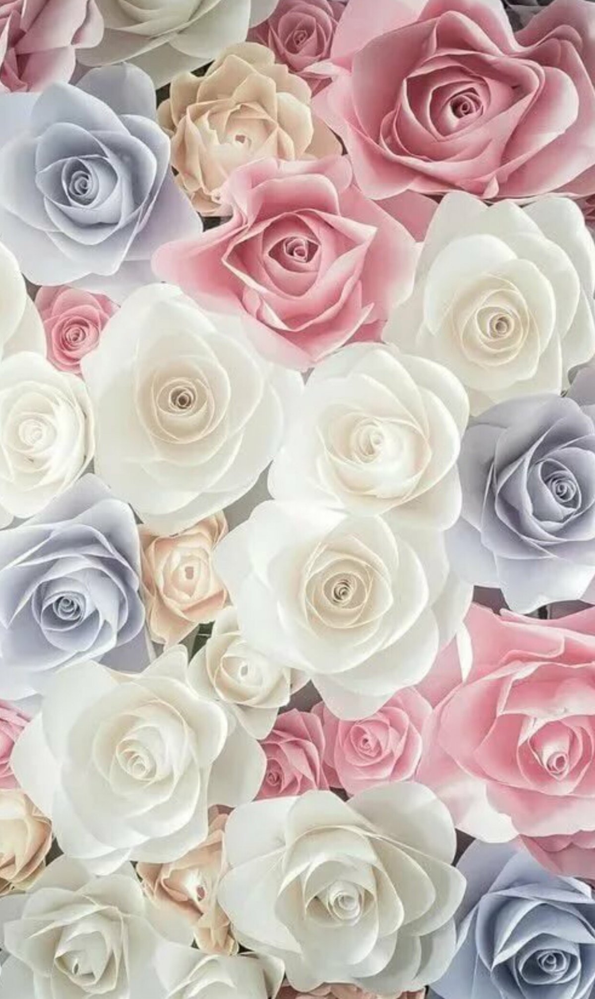 Нежно фиолетовые цветы