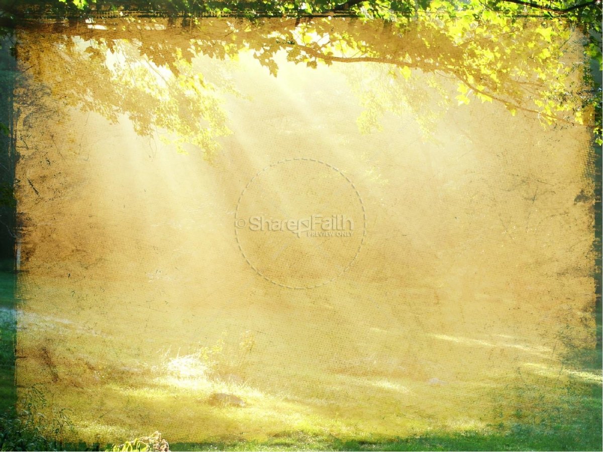 Фон для презентации по литературе