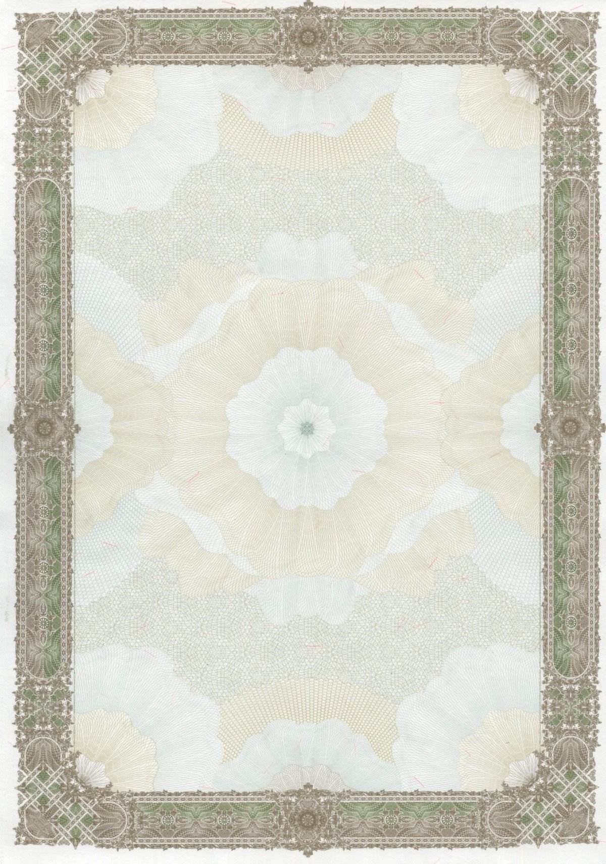 Бланки с защитой