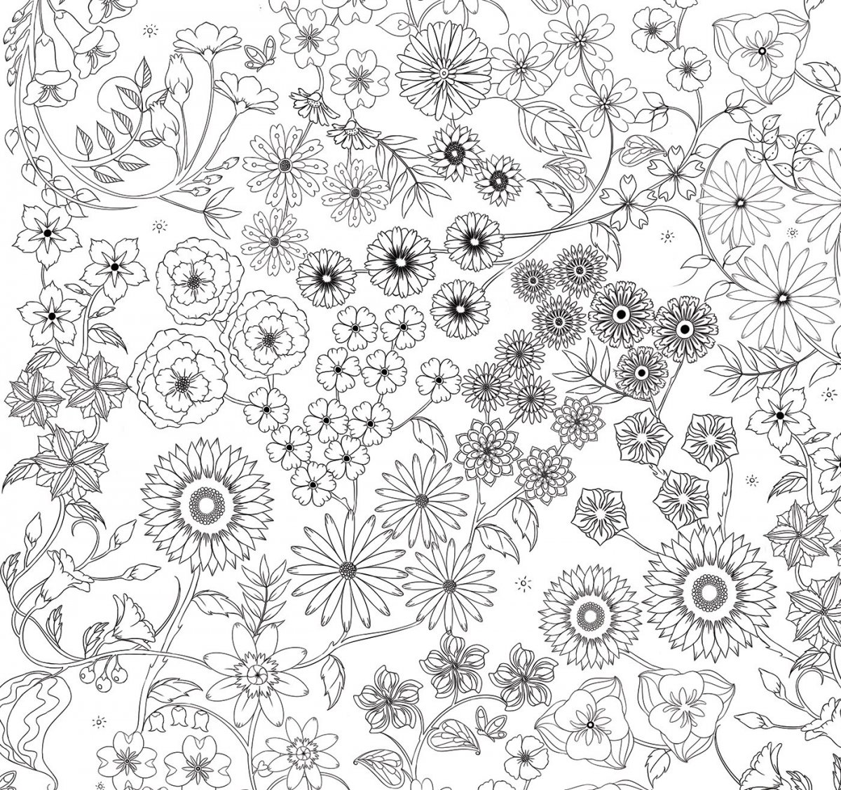 Раскраска полевые цветы арттерапия