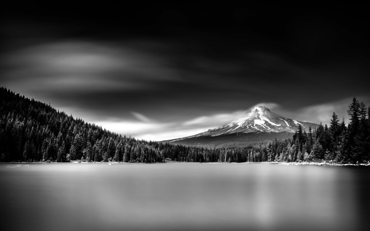 Черно белый пейзаж