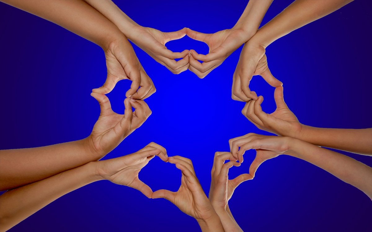 Друзья навеки