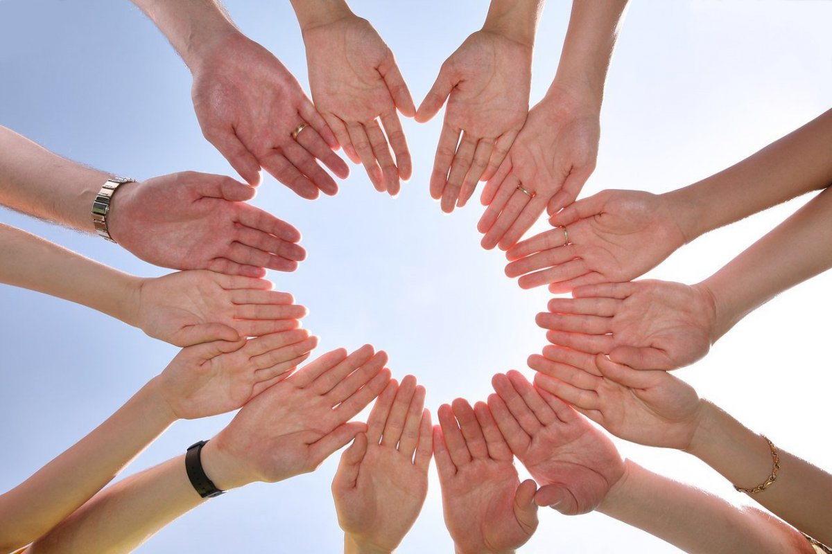 Круг из рук людей