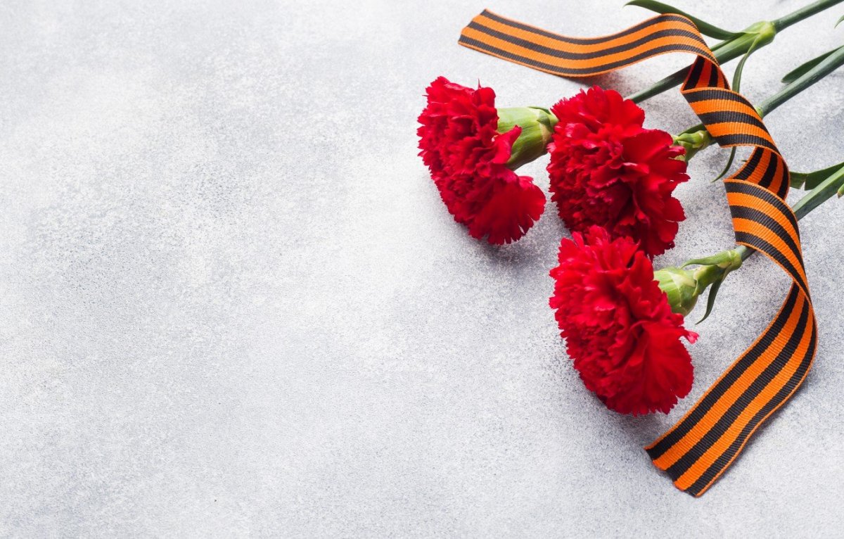 Гвоздики 9 мая