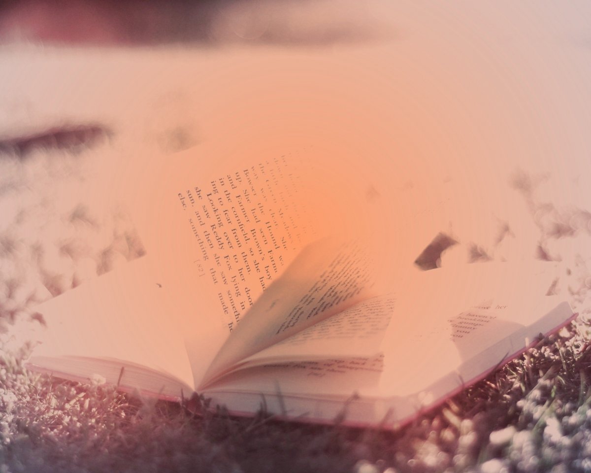 Книги на Светлом фоне