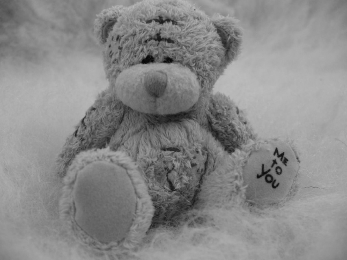 Мишка Тедди на заставку