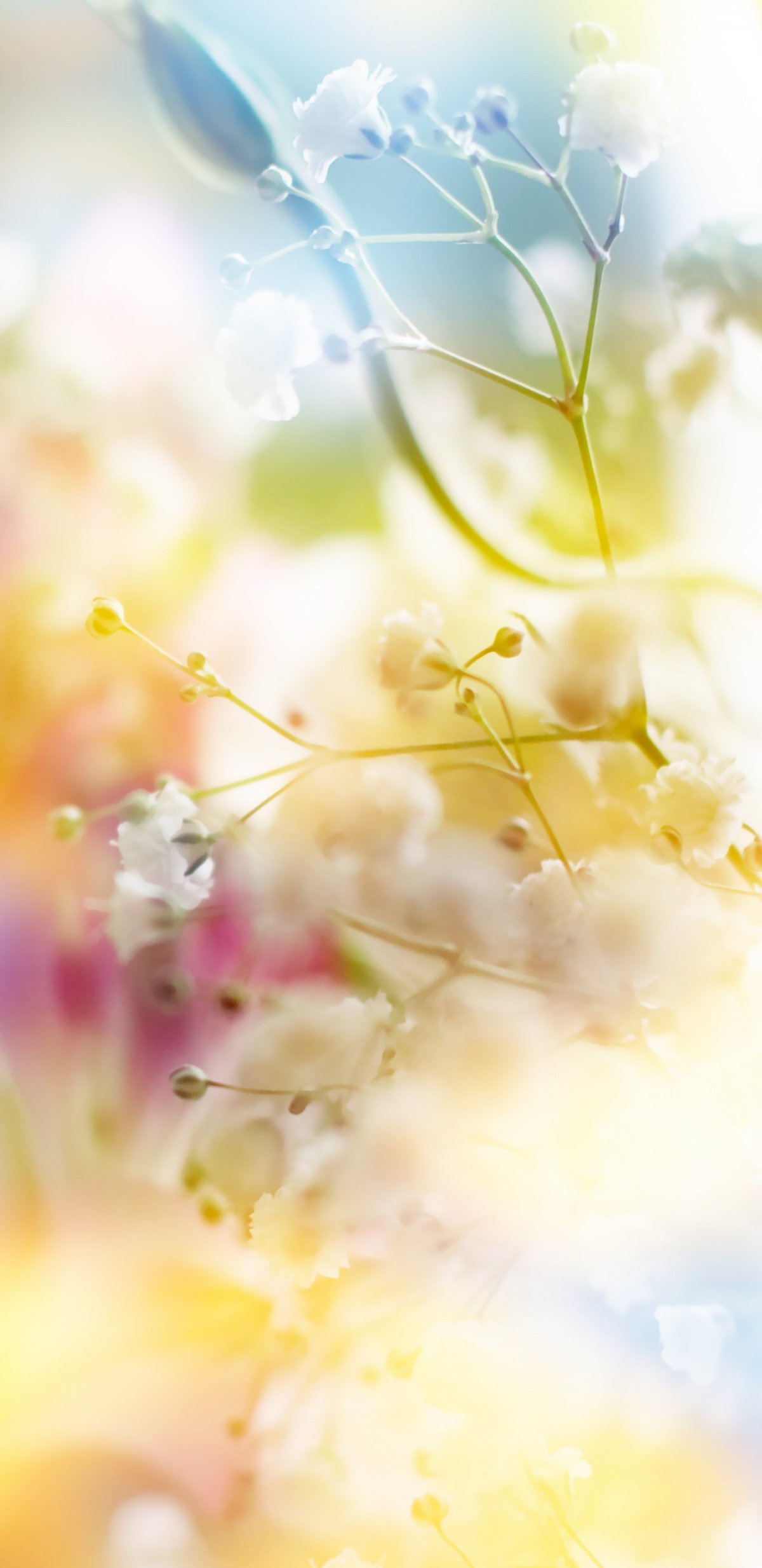 Красивый весенний фон