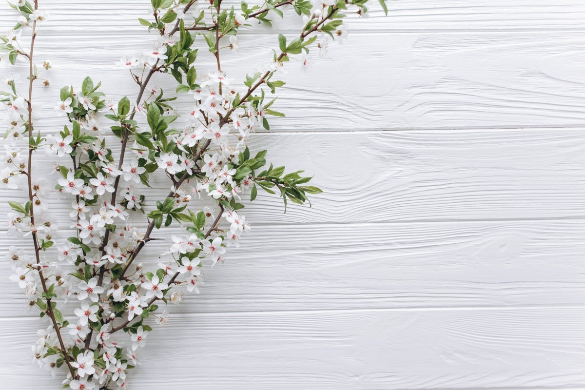 Фотофон белый