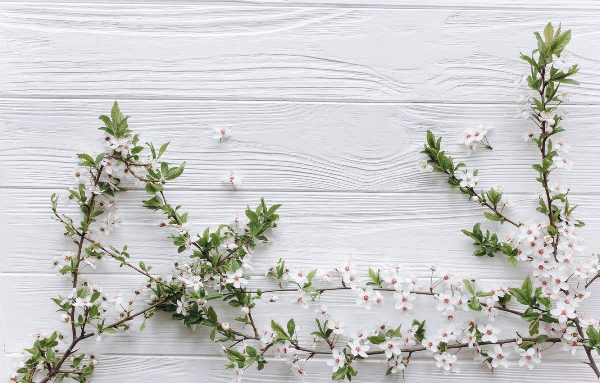 Весенний фотофон