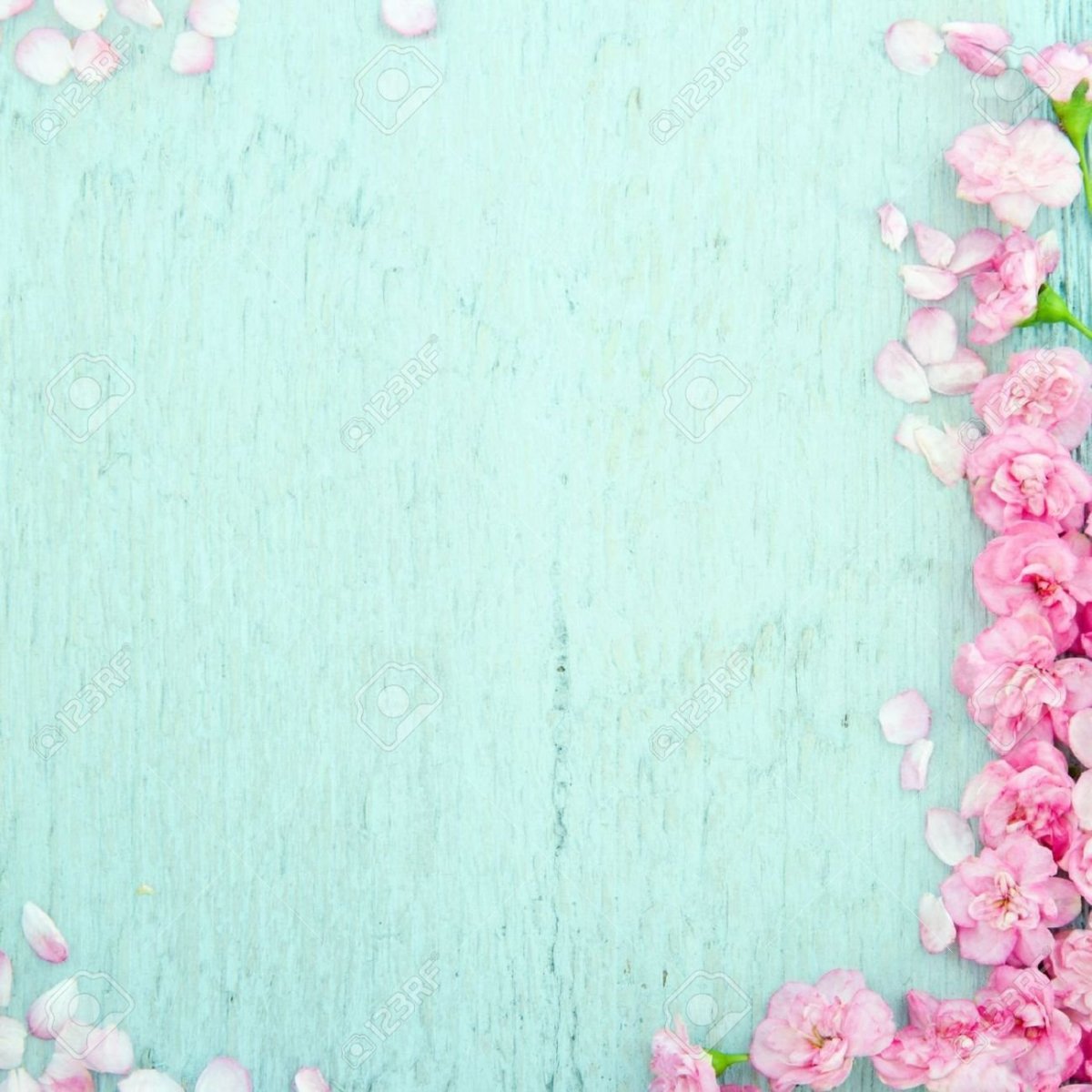 Фотофон мятного цвета