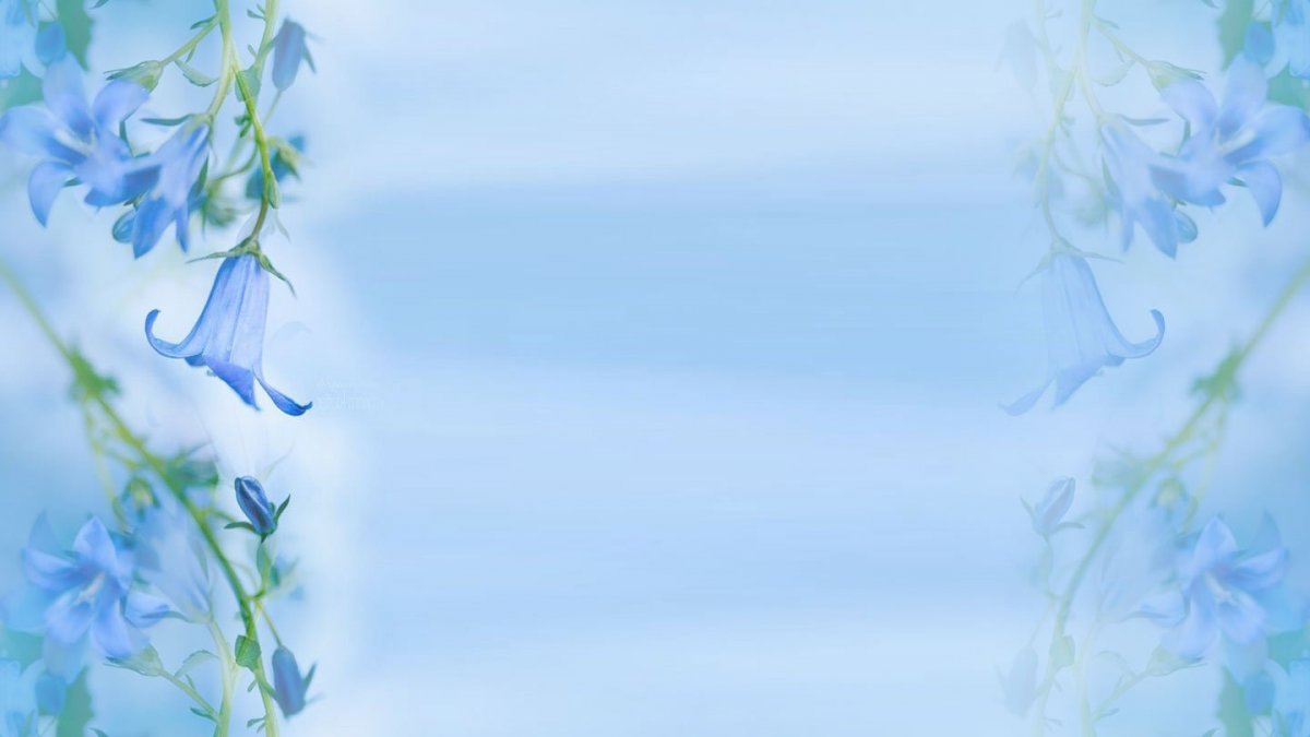 Цветочный фон для презентации