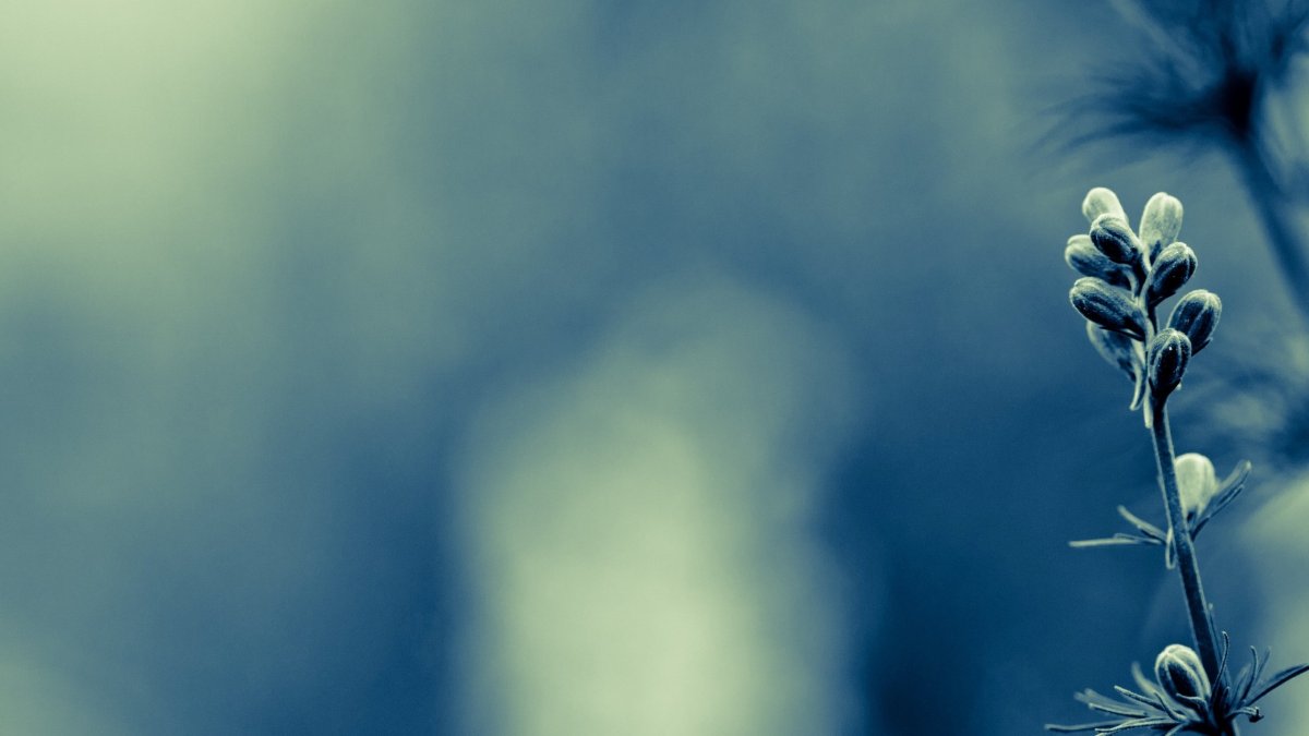 Спокойный фон