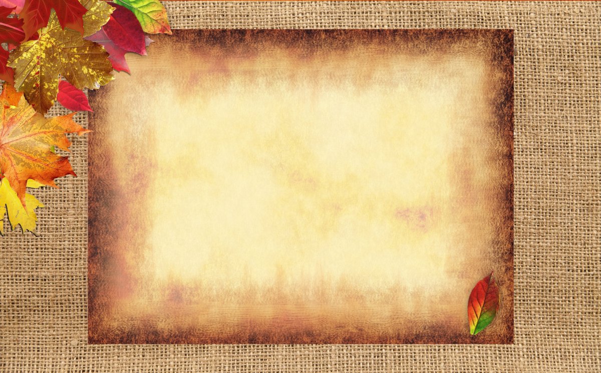 Фон для школьной виньетки