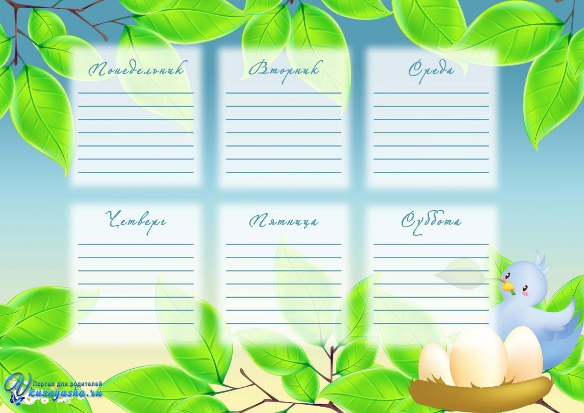 Распорядок дня