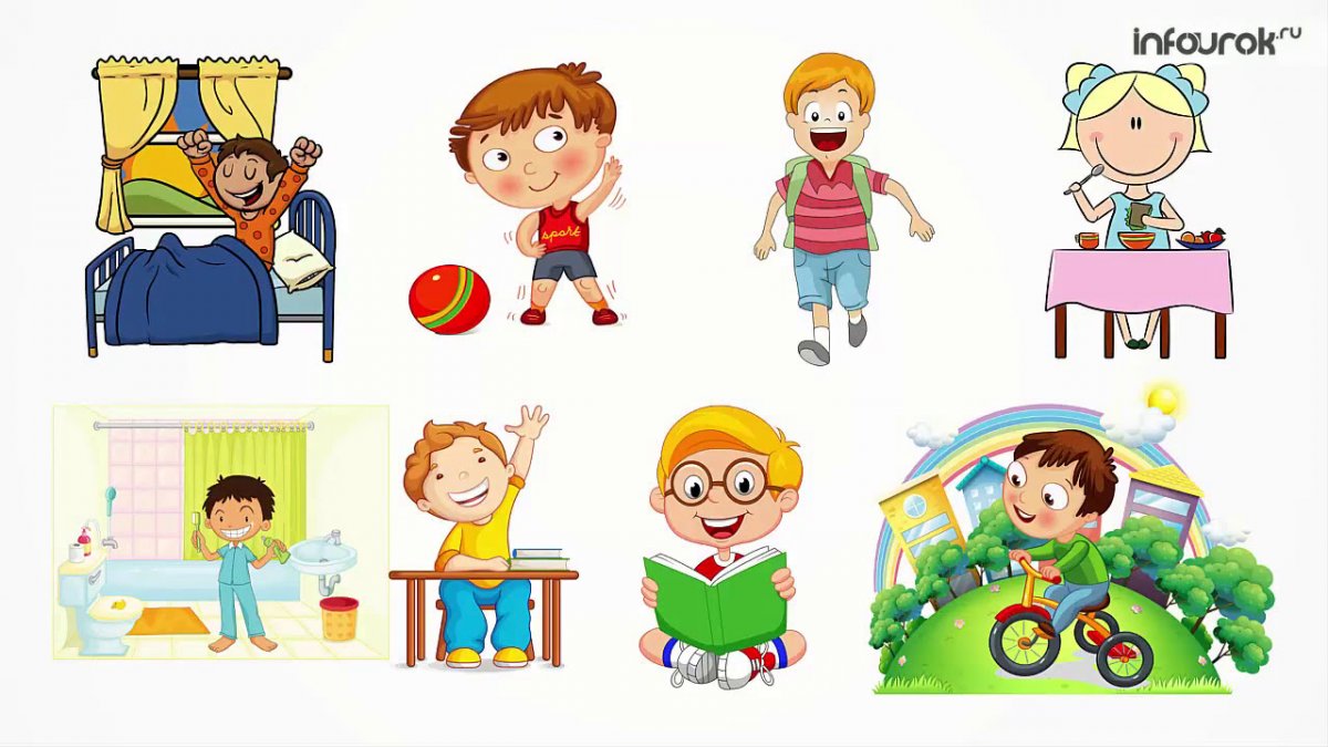 Распорядок дня