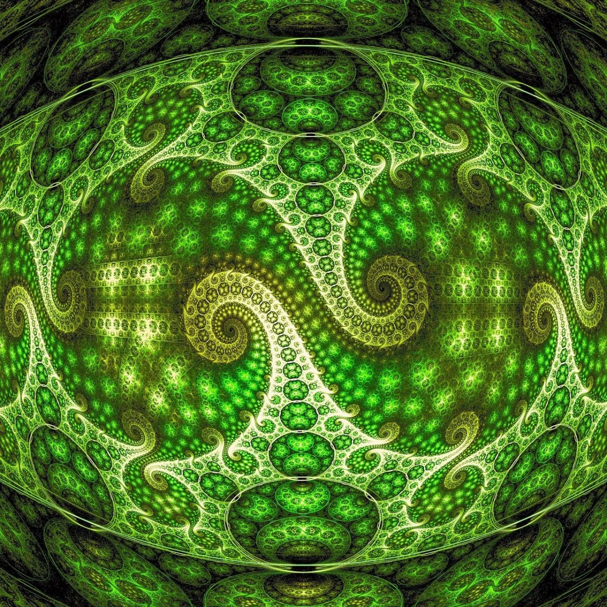 Фрактал Кукумбер