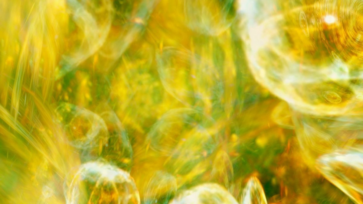 Абстрактный фон лето