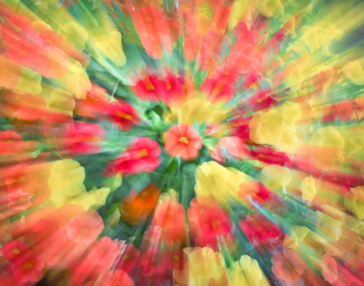 Красивый фон для Zoom