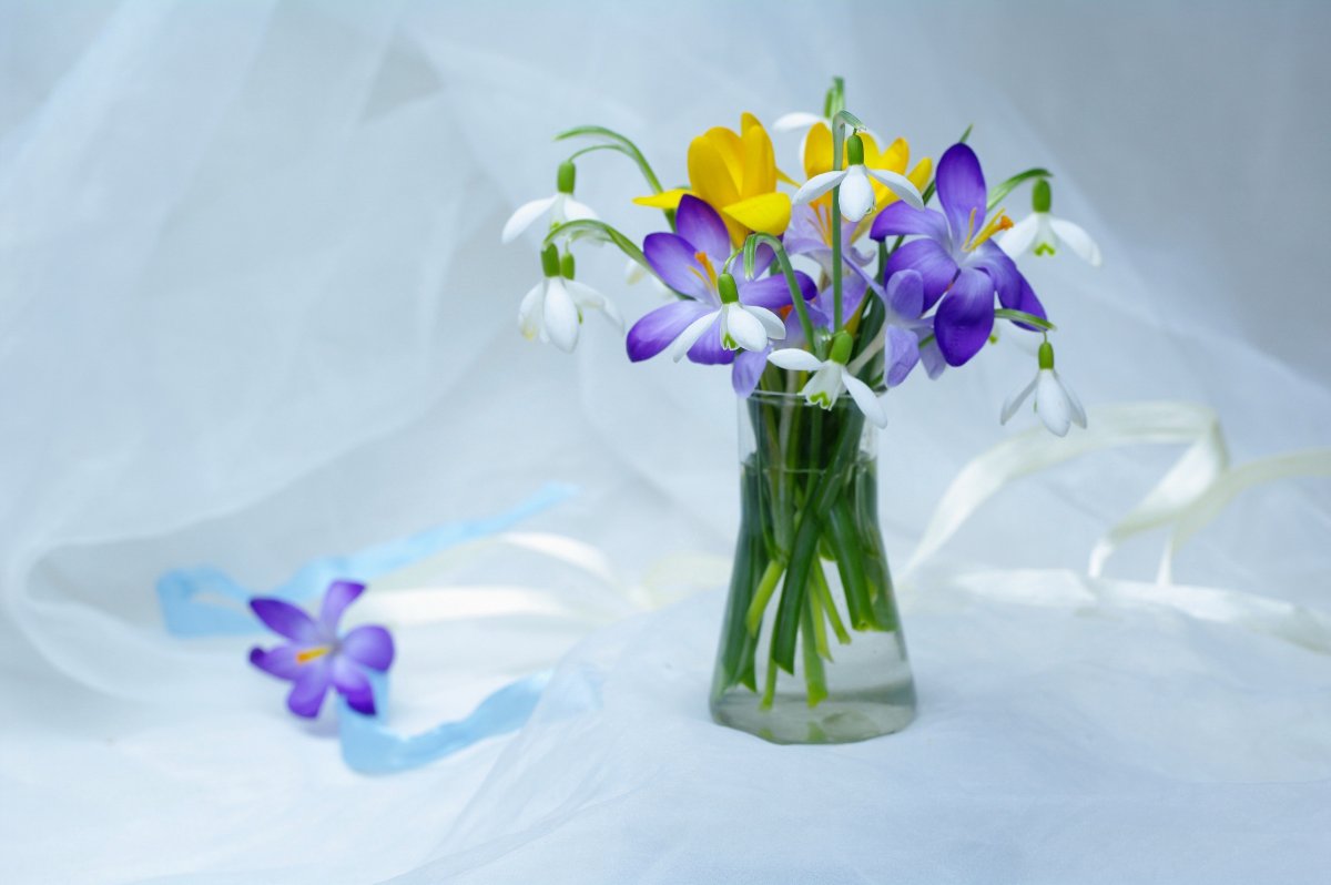 Фоны для рабочего стола Windows 7 цветы