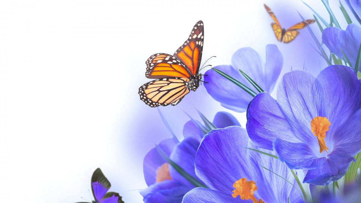 С днем фельдшера