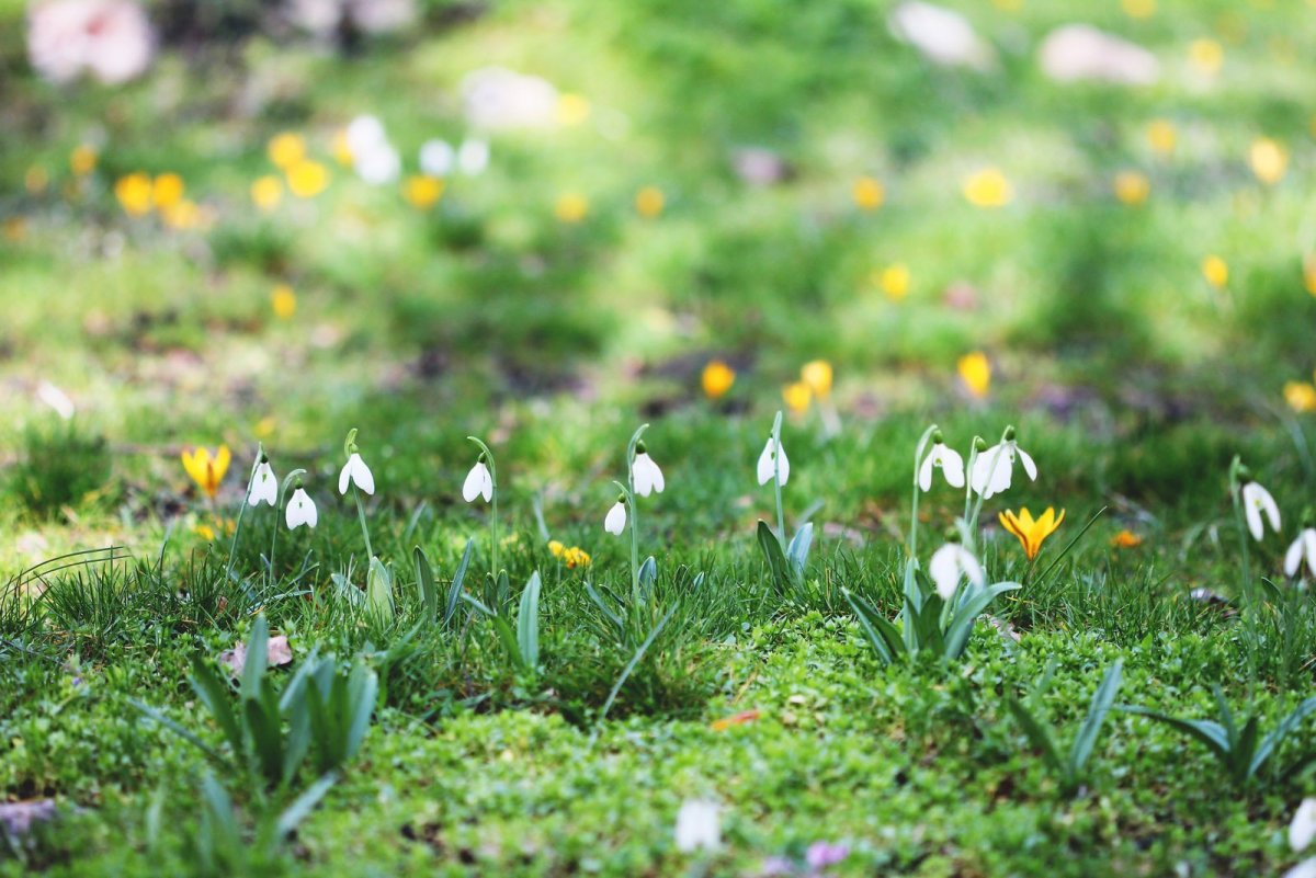 Март картинки