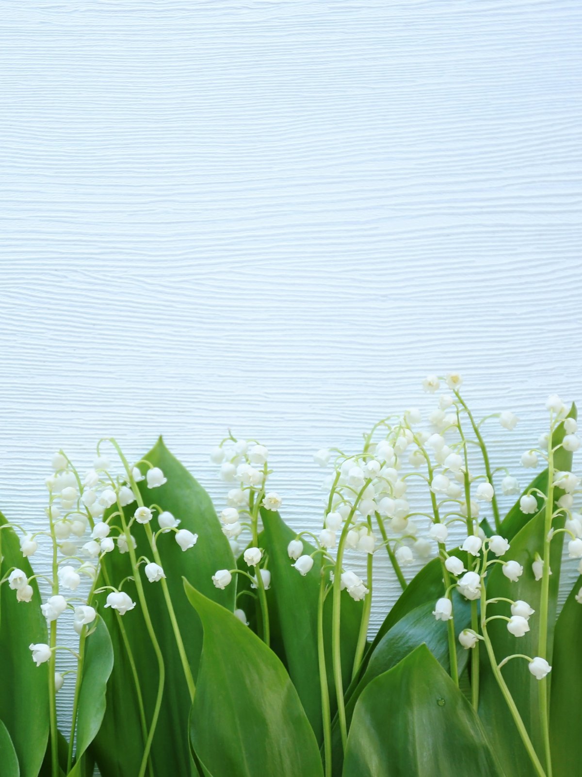 Фон с весенними цветами