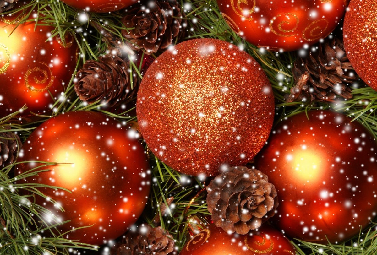 Новогоднее предложение